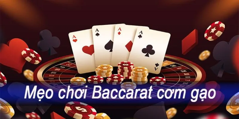 Mẹo đánh Baccarat theo phương pháp cơm gạo hiệu quả