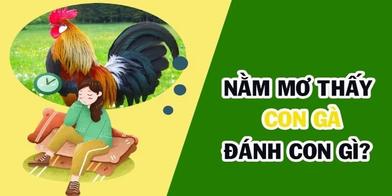 Các con số may mắn xoay quanh giấc mơ thấy gà