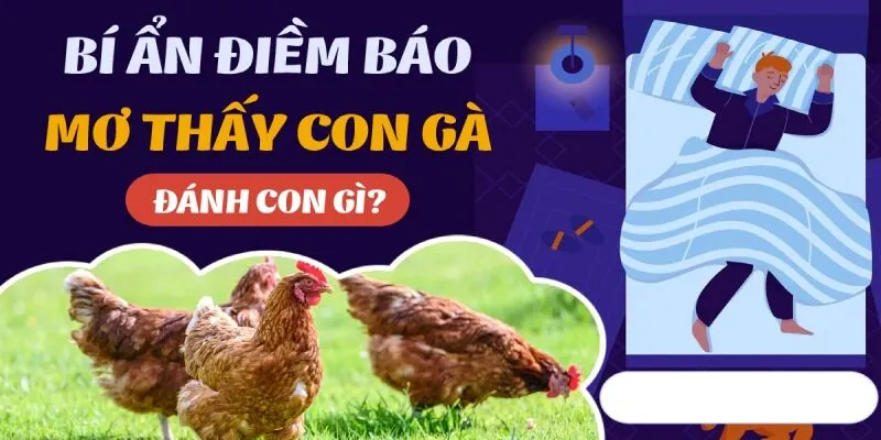 Mơ thấy con gà đánh số gì